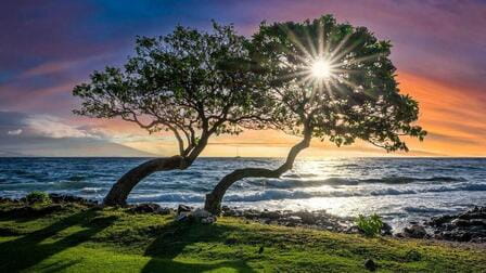 What to do in Maui for 5 days